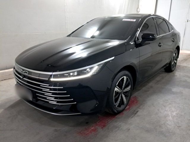 BYD KING GS 1.5 16v DM ANO 2024/2025 BYD KING GS 1.5 16v DM ANO 2024/2025
